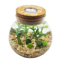 OMEM Multi Color Aquarium Set Moss Ball Terrarium Gravel Doll Boat Workbench Decoration Turtles