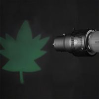 Walimex Balcar Universal Optical Snoot