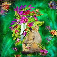 Meidexian888 DIY 5D Diamond Painting,Embroidery Paintings Rhinestone Pasted DIY Diamond Painting Cross Stitch (B)