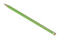 Koh-I-Noor Polycolor Drawing Pencil, Pack of 12, Bice Green (3800/22)