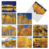 The Best Card Company - Golden Foliage - 10 Blank Landscape Cards with Envelopes (4 x 5.12 Inch) - All Occasion Gold Autumn Trees (Not Foil) M1729BN