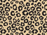 LEOPARD SAFARI KRAFT Recycled240~20"x30" Sheets Tissue Prints (1 unit, 240 pack per unit.)