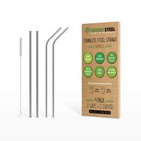 Stainless Steel Straw Set (Small)