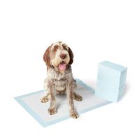 AmazonBasics Extra-Large Pet Dog and Puppy Training Pads - Pack of 40
