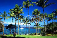 Hi-Look Microfiber Cleaning Cloth - Kauai Cove, Hawaii