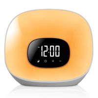 Housbay Ultra Bright Wake Up Light - Sunrise and Sunset Simulation, 7-Color Night Light, Bedside Lamp, FM Radio Alarm Clocks for Kids Adults,Bedrooms (Renewed)