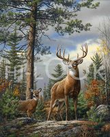 Hi-Look Microfiber Cleaning Cloth - Standing Proud