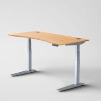 Jarvis Standing Desk Bamboo Top - Electric Adjustable Height Sit Stand Desk - 3-Stage Extended Range Frame with Memory Preset Handset Controller by Fully (Silver, 48 x 30 Contour)