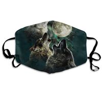 Moon Wolves Dust Mask,Washable and Reusable Cleaning Gardening Outdoor Activities Warm Windproof Mask
