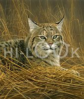 Hi-Look Microfiber Cleaning Cloth - Bobcat