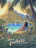 Hi-Look Microfiber Cleaning Cloth - Tahiti