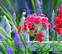 Hi-Look Microfiber Cleaning Cloth - Garden Gate Anna's