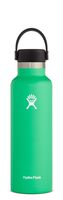 Hydro Flask Standard Mouth Water Bottle, Flex Cap - 21 oz, Spearmint