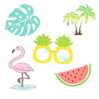 Vinyl Laptop Sticker,Cute Flamingo/Watermelon/Pineapple Glasses/Monstera Leaves/Coconut Tree 5 PCS Sticker for Water Bottle,Waterproof Decal Sticker for Phone,Travel,Computer,Car (Colorful)