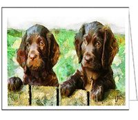 Boykin Spaniels Set of 6 Blank Notecards and Envelopes By Doggylips