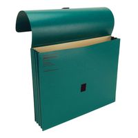 Wilson Jones ColorLife File Wallets with Velcro Grippers, 3.5 Inch Expansion, 9.5 x 11.75 Inches, Green, 10 Wallets Per Box (WCC719-4G)