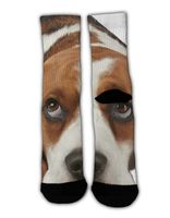 GLORY ART Men's Basset Hound Dog Business Cotton Socks Crazy Funky Colorful Dress Socks Women Casual Crew Holidays Socks, 1 Pairs
