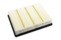 ACDelco A3181C Professional Air Filter