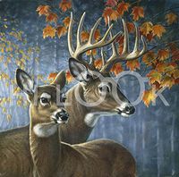 Hi-Look Microfiber Cleaning Cloth - Deer Pari