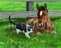 Hi-Look Microfiber Cleaning Cloth - Lookout Butterfly