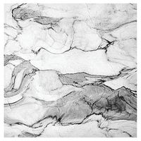 Creative Converting 16 Count Marble Napoli Premium Patterned Luncheon Napkins, Black/White
