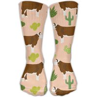 Hereford Cow Cattle Cactus Ladies Humor Long Stockings Running High Socks