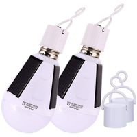 Flyhoom 2 Pack Portable Solar Bulb Light Outdoor Rechargeable Emergency Light Bulb (AC 400LM/ DC 130LM) for Power Outage Shed Barn, Camping Tent Light Bulb