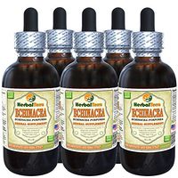 Echinacea (Echinacea Purpurea) Tincture, Organic Dried Root Liquid Extract (Brand Name: HerbalTerra, Proudly Made in USA) 5x2 fl.oz (5x60 ml)
