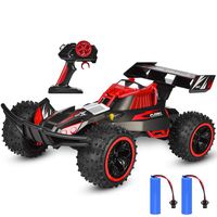 NQD Remote Control Car 2019 Updated 1:16 Scale 2.4Ghz Radio Remote 25Km/h All Terrain RC Car with Two Rechargeable Batteries Electric Toy Car for All Adults & Kids
