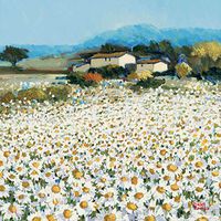 Hi-Look Microfiber Cleaning Cloth - Farm near Bini