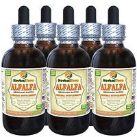 Alfalfa (Medicago Sativa) Tincture, Organic Dried Leaf Liquid Extract (Brand Name: HerbalTerra, Proudly Made in USA) 5x2 fl.oz (5x60 ml)