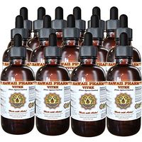 Vitex (Vitex Agnus-Castus) Liquid Extract 15x4 oz