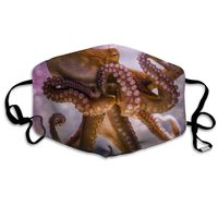 Hateone Unisex Unique Mouth Mask - Cool Octopus Funny Illustration Polyester Anti-dust Masks - Fashion Washed Reusable Face Mask for Outdoor Cycling