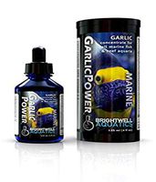 Brightwell Aquatics Garlic Power - Aquarium Food Enhancer 4 oz/125 ML