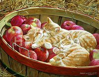 Hi-Look Microfiber Cleaning Cloth - Apples and Orange