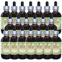 Cordyceps (Cordyceps Sinensis) Glycerite, Organic Dried Mushroom Powder Alcohol-Free Liquid Extract (Brand Name: HerbalTerra, Proudly Made in USA) 20x4 fl.oz (20x120 ml)