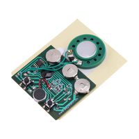 Zerone Voice Module, 30s Recordable Music Sound Voice Module Chip 0.5W with Button Battery (Key Control)