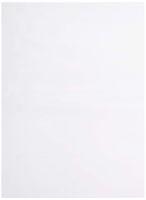 Bauxko 9" x 12" Flat Poly Bags, 3 Mil, 25-Pack (xPB815-25)