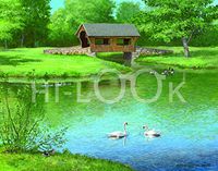 Hi-Look Microfiber Cleaning Cloth - Harmony