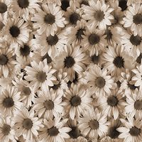 DCWVE Die Cuts with A View Open Stock Paper 12 x 12-Single-Sided-Sunflower Sepia OS-003-00014