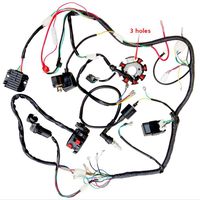 Facaing Complete Electrics All Wiring Harness Wire Loom Assembly for 150cc-300cc ATV Quad 4 Four Wheelers Go Kart Dirt Pit Bikes