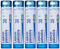Boiron Ledum Palustre 30C (Pack of 5), Homeopathic Medicine for Insect Bites