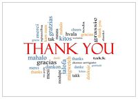 NW Pitney Ink Many Thanks Thank You Card, 5 x 7 Inches (1001TY)