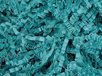 Crinkle Cut Gift Shred Filler - 10 LB - Teal