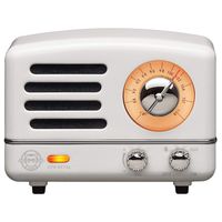 Muzen Portable Wireless High Definition Audio FM Radio & Bluetooth Speaker, Metal White, Travel Case Included - Classic Vintage Retro Design