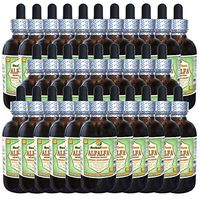 Alfalfa (Medicago Sativa) Glycerite, Organic Dried Leaf Alcohol-Free Liquid Extract (Brand Name: HerbalTerra, Proudly Made in USA) 30x2 fl.oz (30x60 ml)