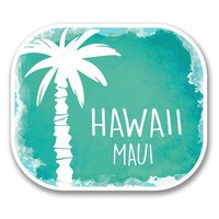 2 x 10cm- 100mm Maui Hawaii USA Flag Vinyl SELF ADHESIVE STICKER Decal Laptop Travel Luggage Car iPad Sign Fun #6316