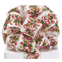 Burton and Burton 9731433 Ribbon, Multicolor