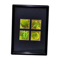3D Nature 4-up 2-Channel Hologram Picture (Framed), Collectible Polaroid Photopolymer Film