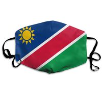NUNOFOG Flag of Namibia Unisex Safety Masks Washable and Reusable Cleaning Gardening Dust Respirator Mouth Masks for Men Women One Size